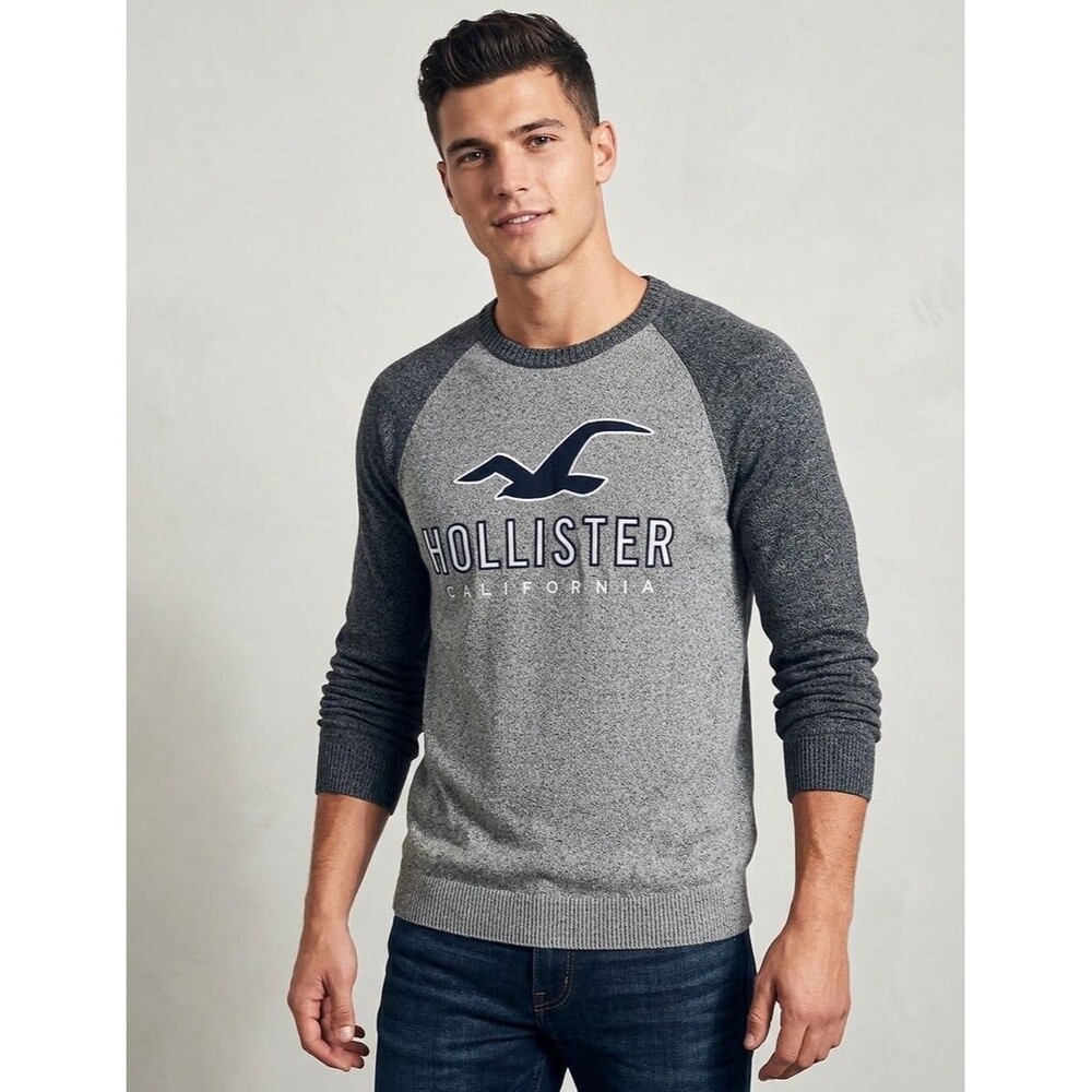 Hollister Men's Frankie Knit Graphic Sweater Grey Two Tone Pullover Size M Soft